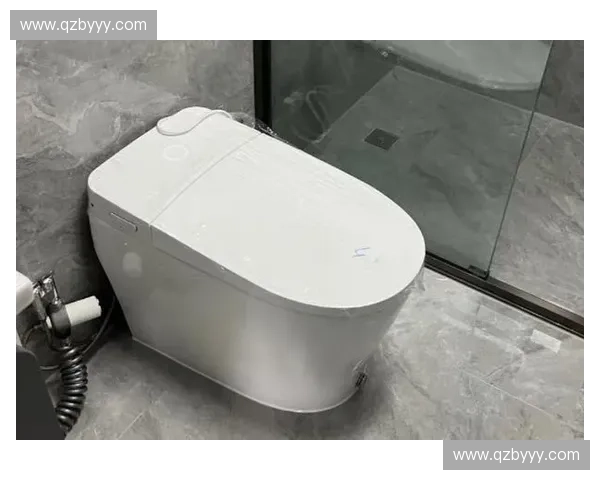 十款热门智能马桶全面测评揭秘哪一款最值得入手与长期使用