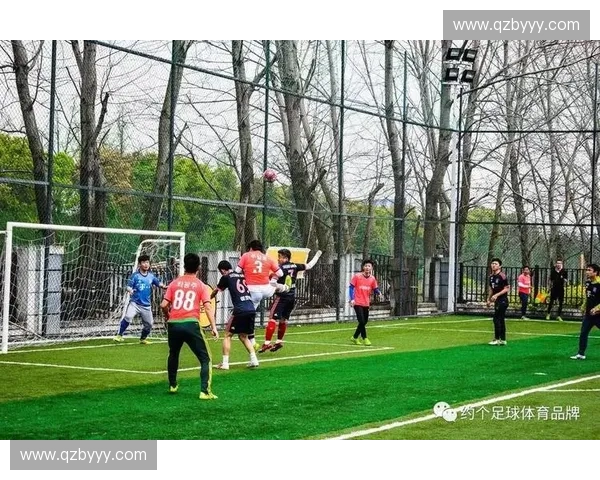 全面解析本赛季各大足球联赛最新战况与争冠走势全景深度图观察篇 全面解析本赛季各大足球联赛最新战况与争冠走势全景深度图观察篇